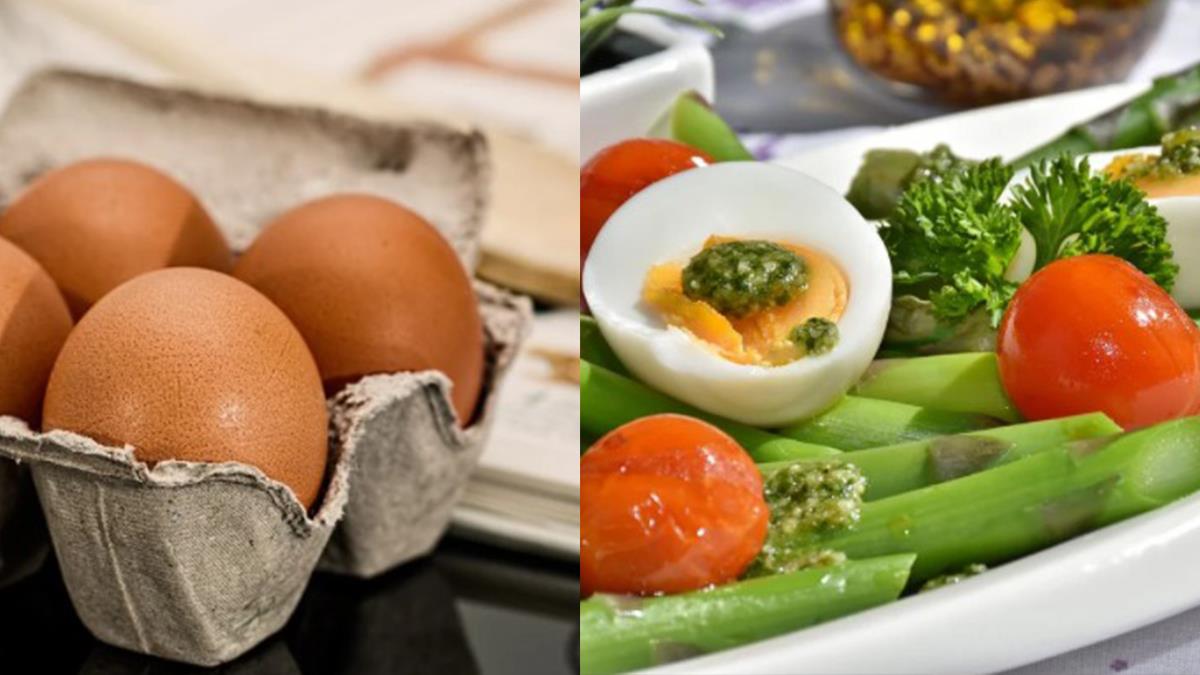 雞蛋知識小學堂開課喇！三個你不知道的「雞蛋的秘密」，瘦身關鍵就是「煮法」～