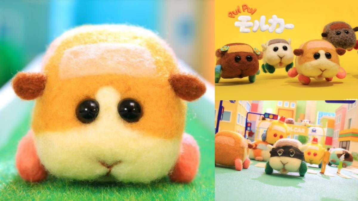 小孩才看鬼滅，大人都看車車！爆紅動畫《天竺鼠車車》謎之魔性1秒就上癮，本鼠演出吱吱聲太療癒～