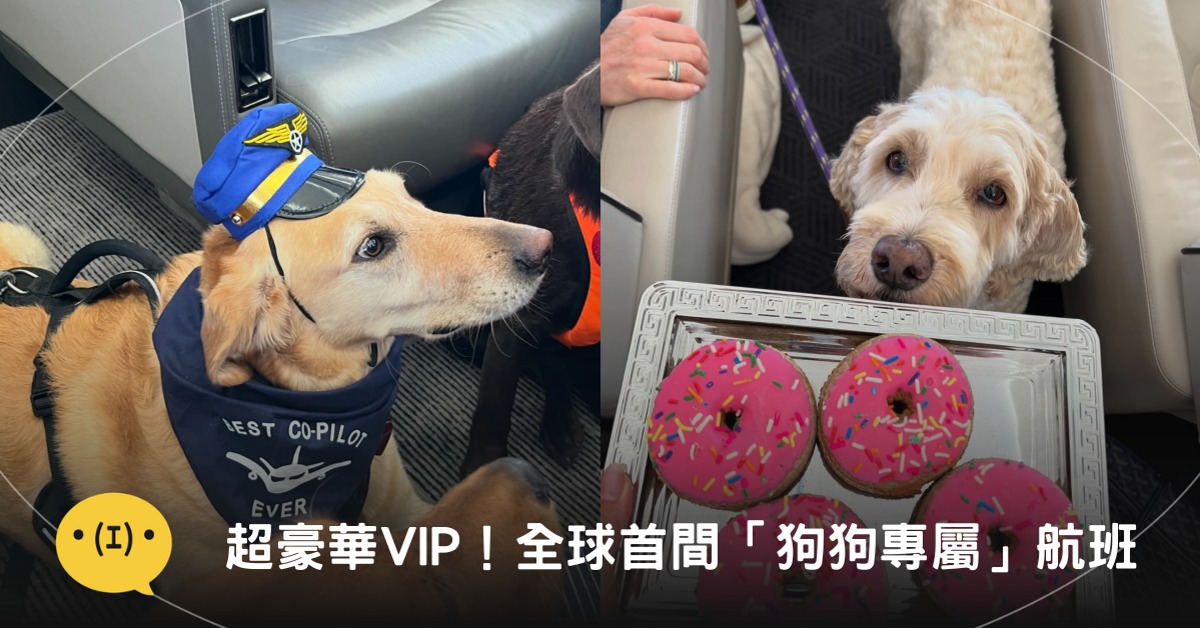 圖片來源:IG @barkair