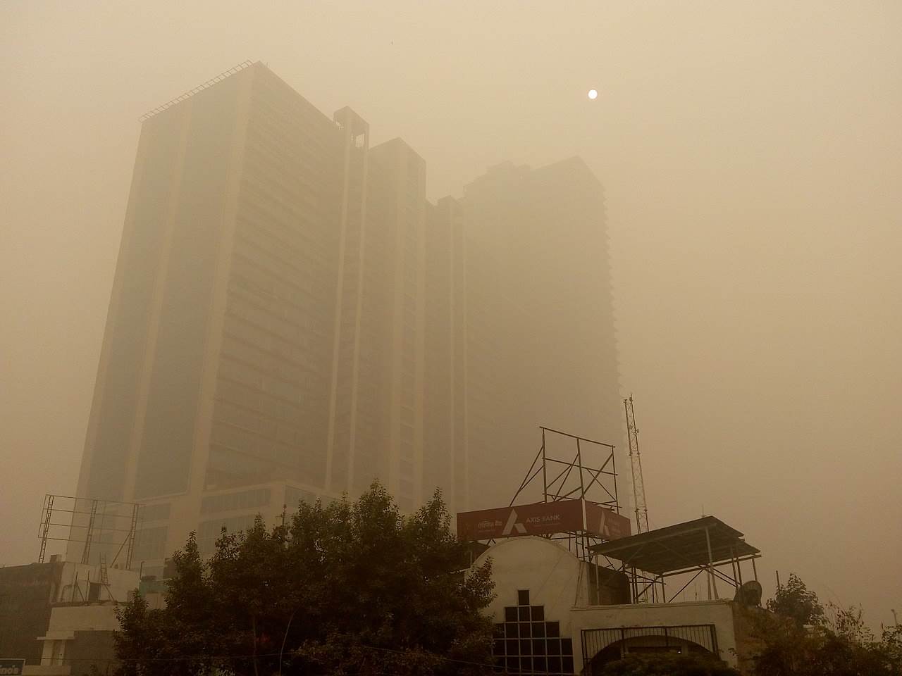 Poulluted_killer_fog_in_Delhi