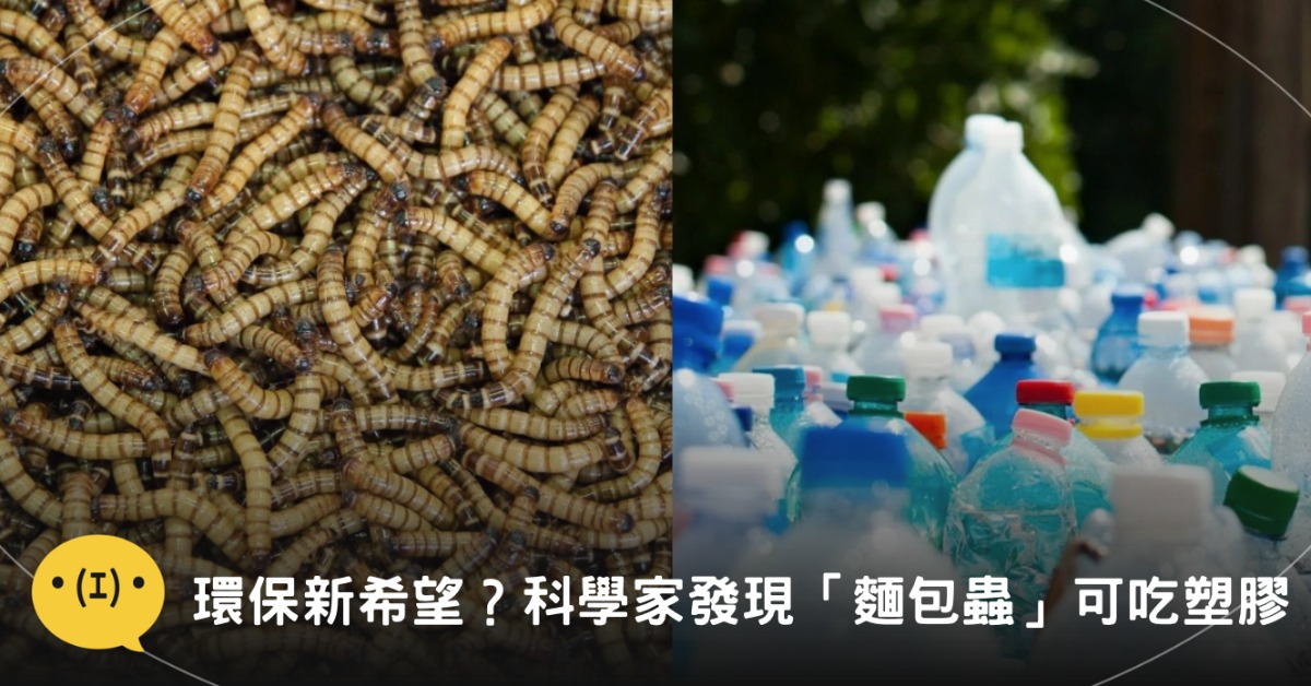 圖片來源:pexels