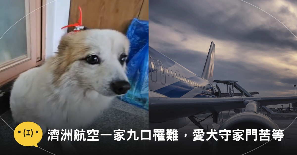 封面圖片來源:youtube@ 케어、pexels