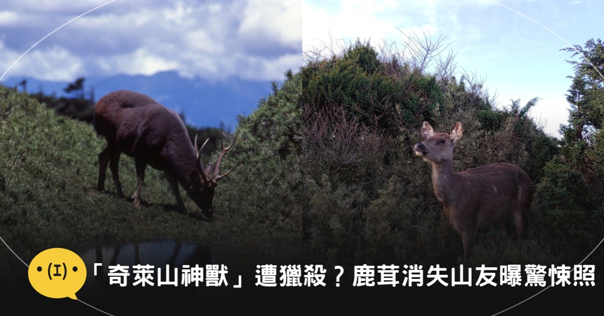圖片來源：太魯閣國家公園 臉書