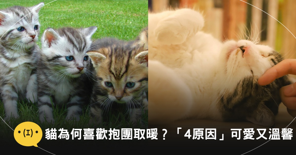 圖片來源:pexels