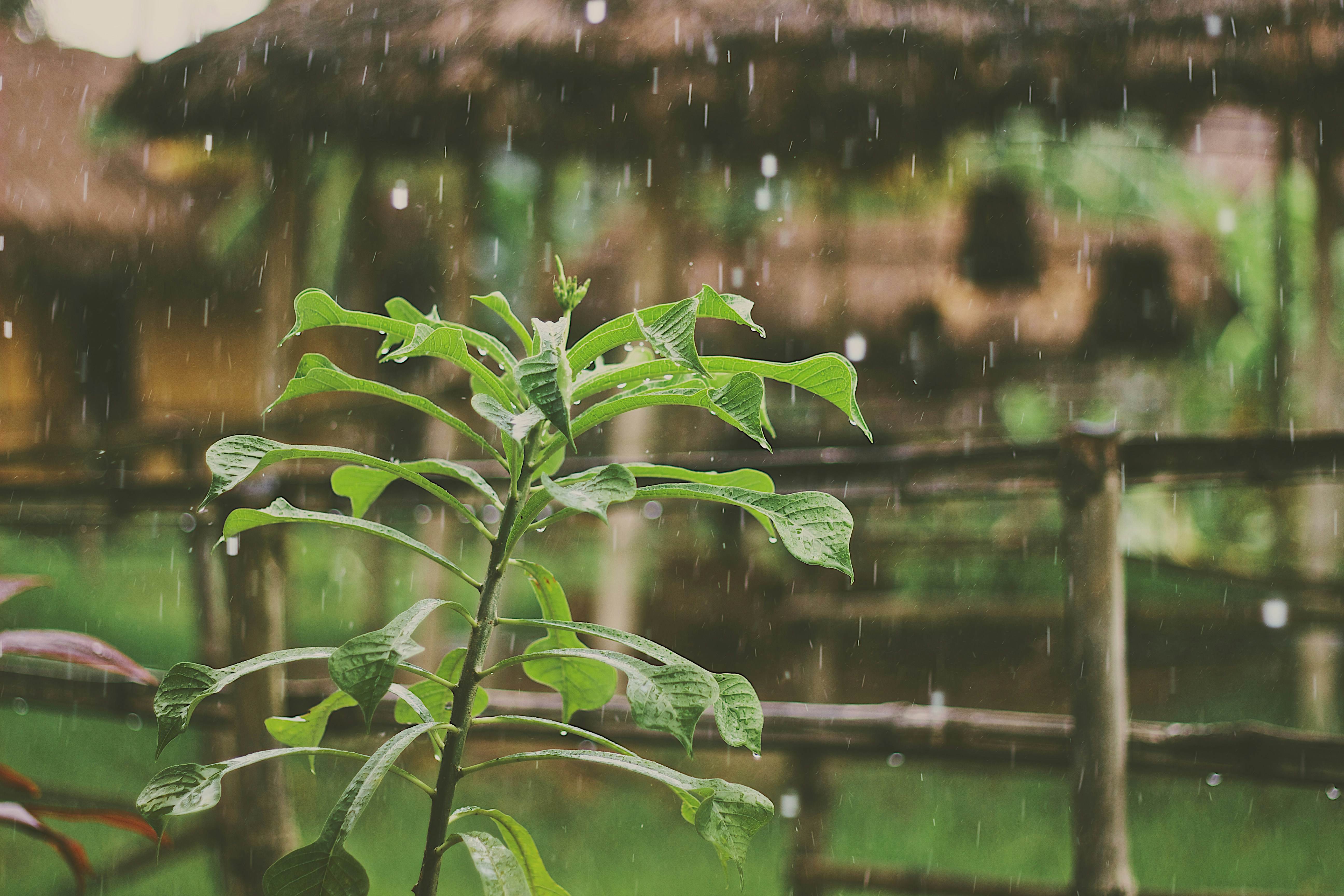 mike-kotsch-HNx4QLRgy2k-unsplash