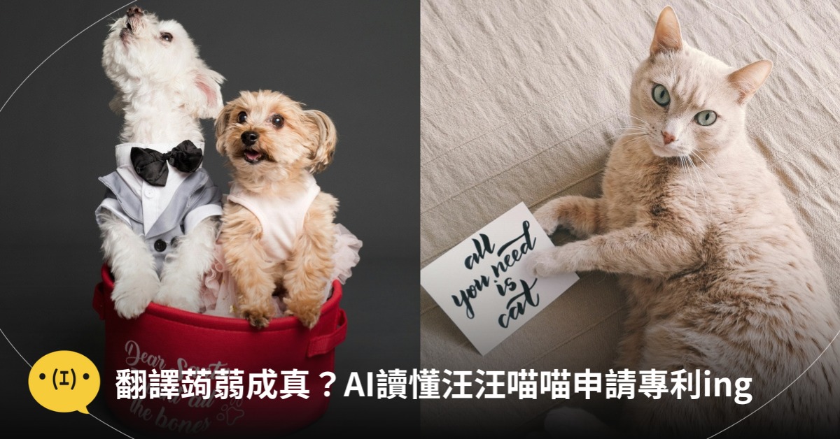 圖片來源：pexels