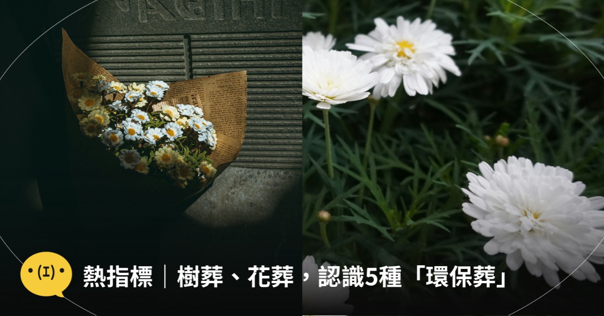 樹葬、花葬!5種環保葬方式、費用一次看,圖片來源:IG@barbiehsu.fp、unsplash