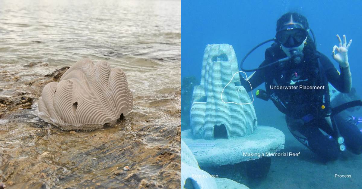 FotoJet - 2025-06-18T105301.619