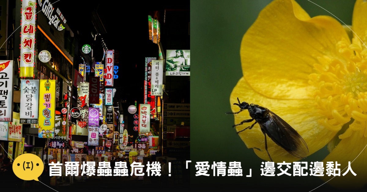 封面圖片來源:pexels、Pixabay