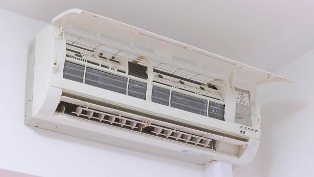 23097008_s (1)