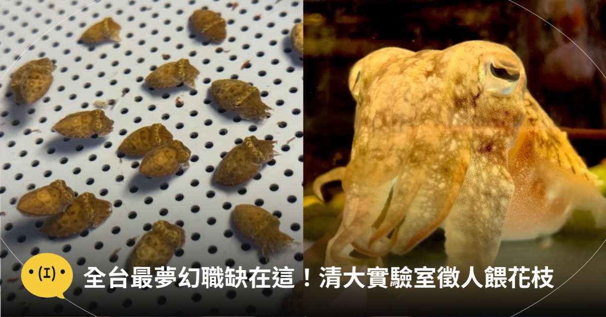 主圖來源:國立清華大學