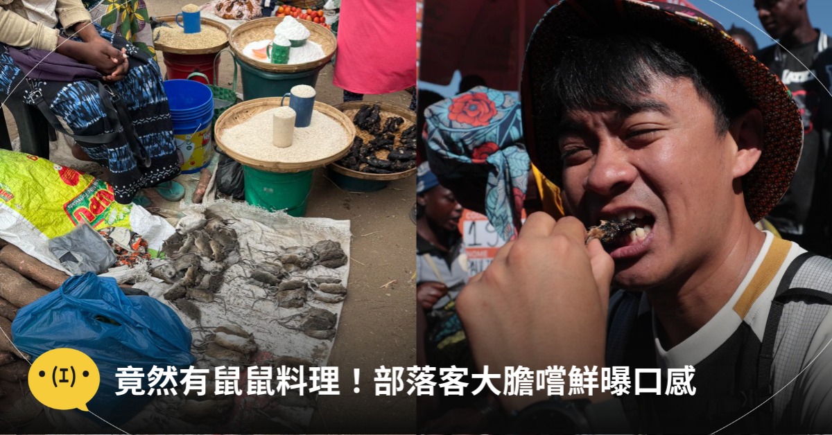 老鼠料理,圖片來源:FB@融融歷險記