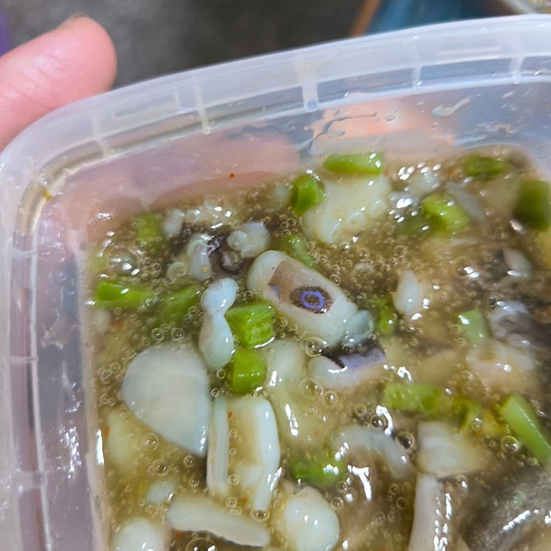吃芥末章魚驚見藍環！高雄男「嘴唇發麻」催吐衝急診，醫：目前沒解藥