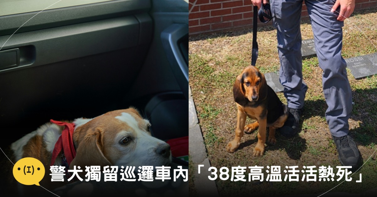 左圖為示意圖，非當事犬隻。圖片來源：unsplash／右圖為此次事件警犬。圖片來源：FB@Dade County Sheriff's Office