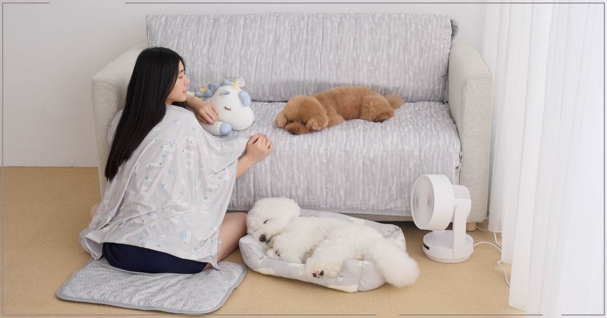 圖片來源:桃園暴走兄妹檔
