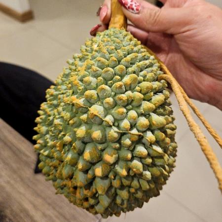 你帶榴槤？女子飛泰國玩「買1知名紀念品」遭攔下！打開行李卻全場笑翻
