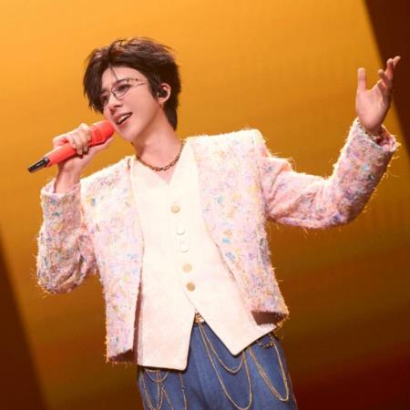 粉絲敲碗推出「劉宇寧公仔」！演唱會戰袍網讚：行走衣架子