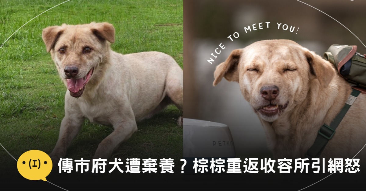 圖片來源:新竹市動物保護及防疫所官網、林智堅臉書