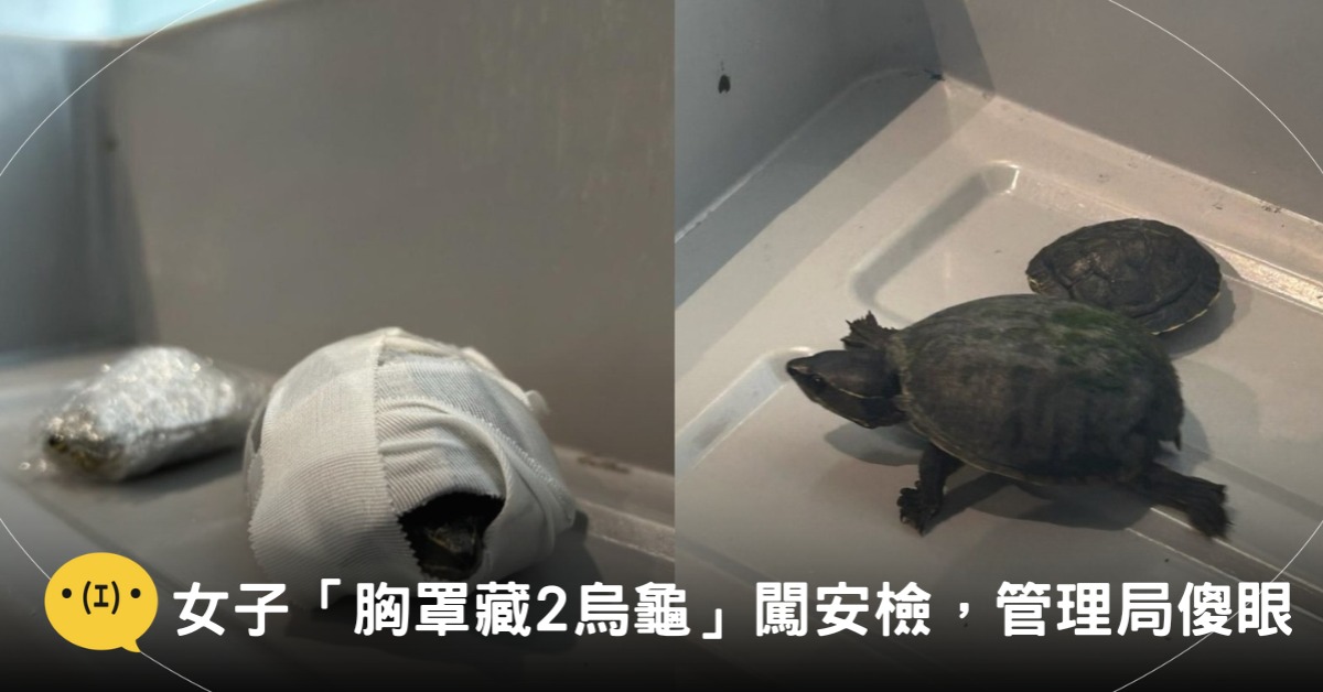 封面圖片來源：FB@Transportation Security Administration - TSA