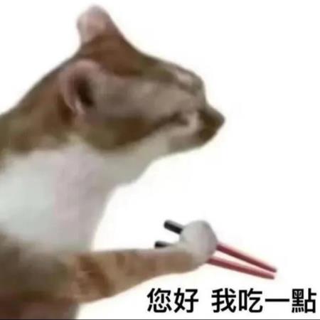 「你好，我吃一點」爆紅！貓咪梗圖是什麼意思？竟成台日韓最萌美食外交