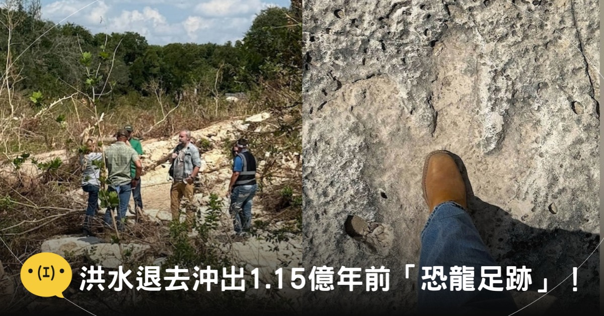 封面圖片來源：X@InfoR00M