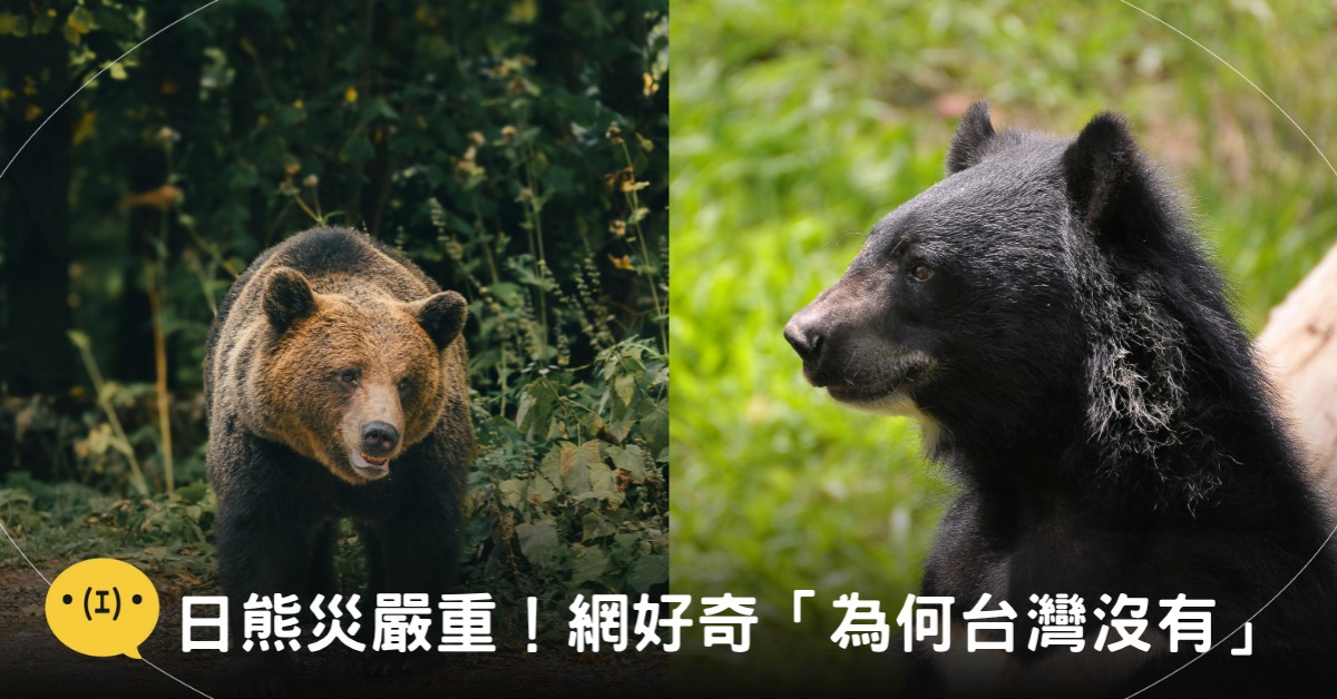 示意圖。／封面圖片來源：pexels