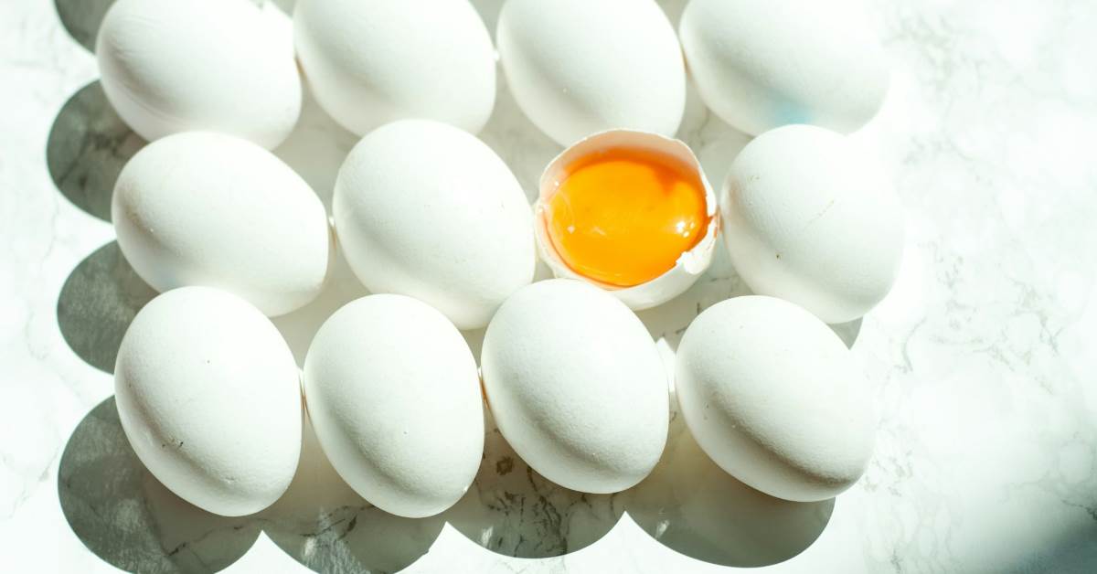 FotoJet - 2025-11-10T085230.988