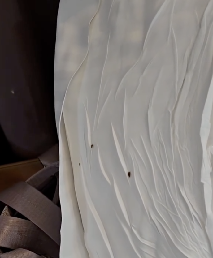 截圖 2025-11-11 下午2.17.27