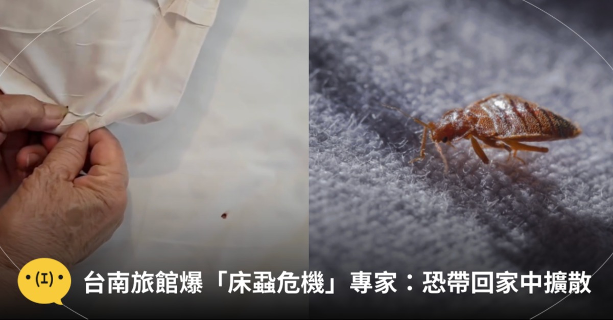 圖片來源：網友提供、Shutterstock