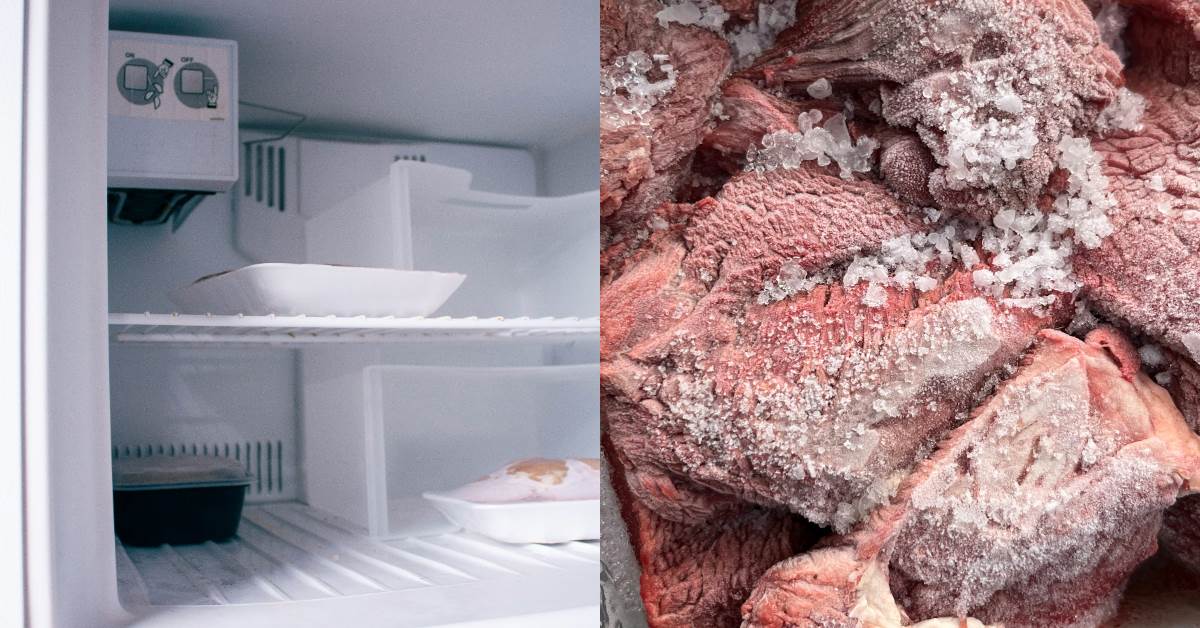 FotoJet - 2025-11-12T102011.262