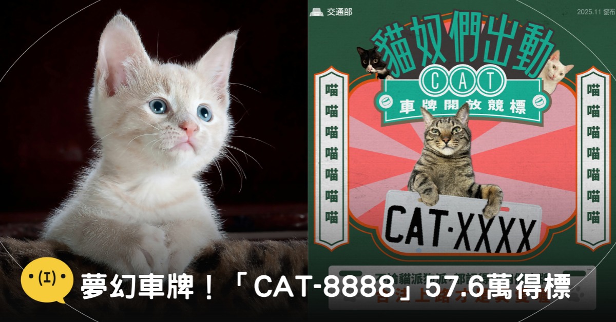 封面圖片來源：pexels、交通部