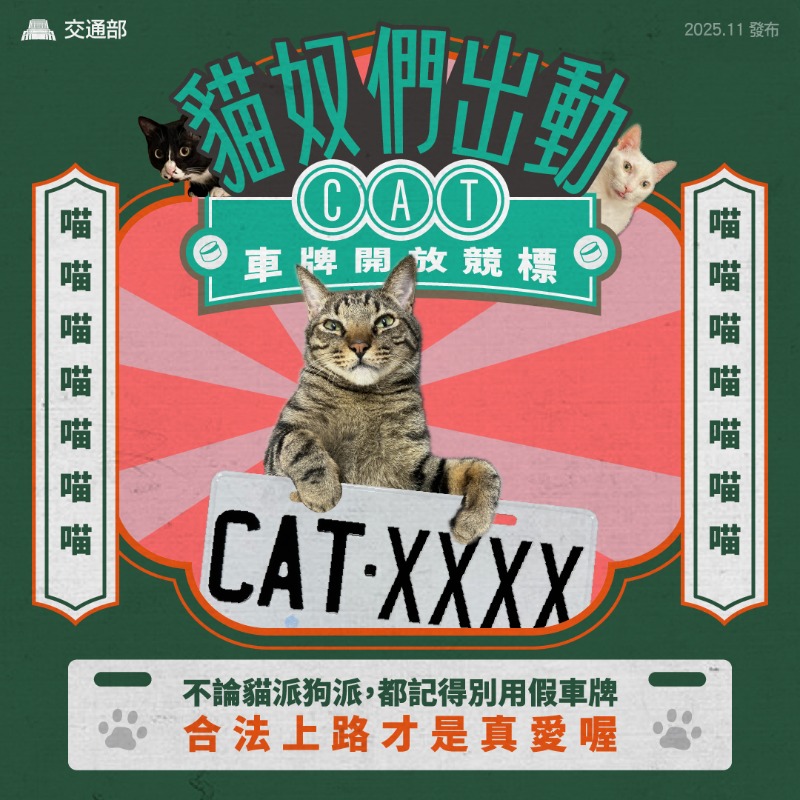 貓奴夢幻車牌！「CAT-8888」天價57.6萬得標，全台貓迷砸2025萬搶身分證車牌