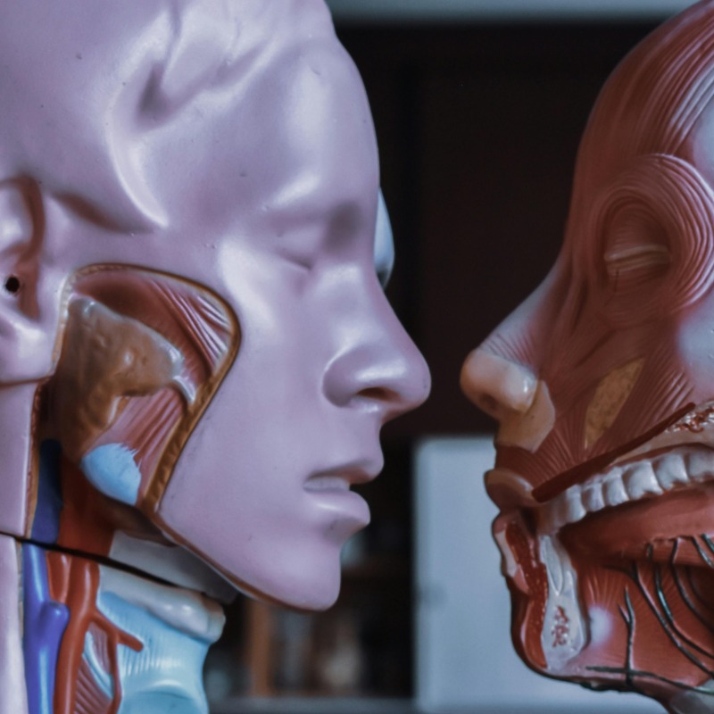 于朦朧死因驚動龐大「人體產業鏈」？他們揭露化妝品、食品加工都有事