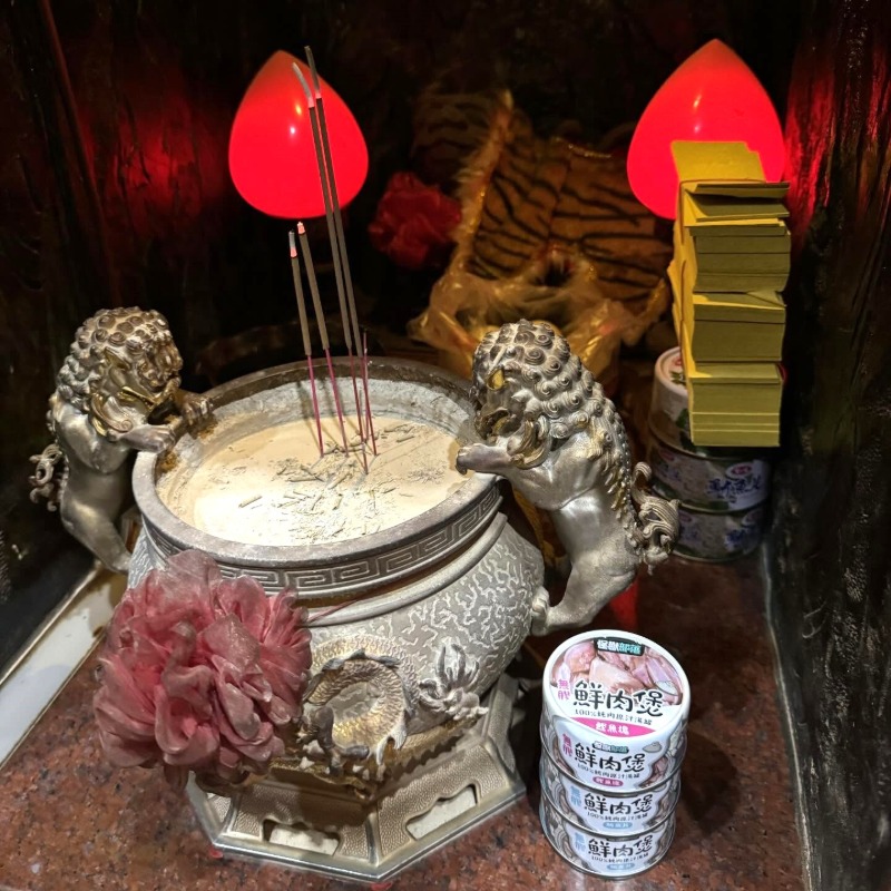 信徒拿貓罐頭拜虎爺「瞬間大發爐」！廟方秒擲筊揭真相：祂不是貓