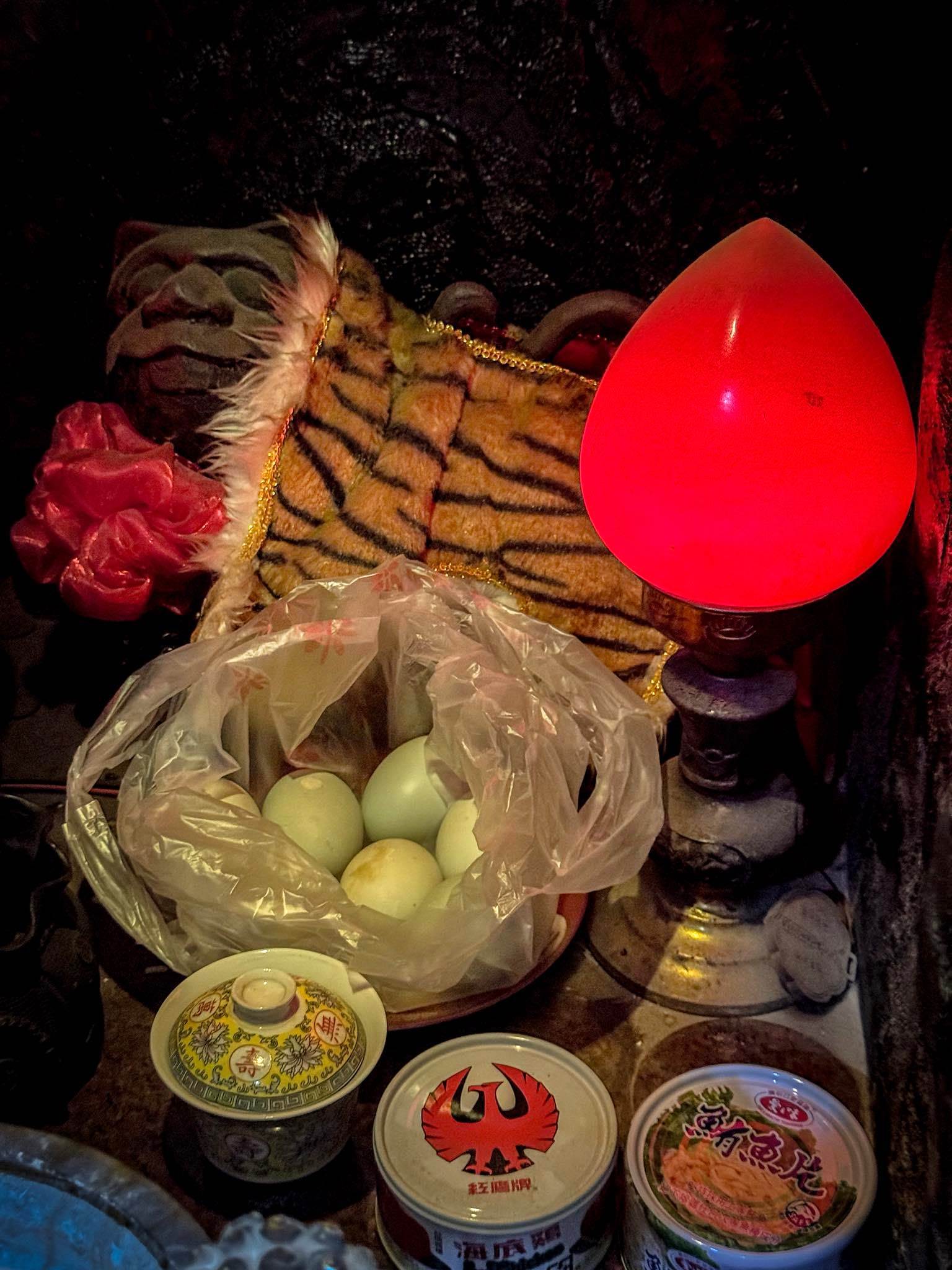 581221527_1152951036978213_2817474090698571129_n