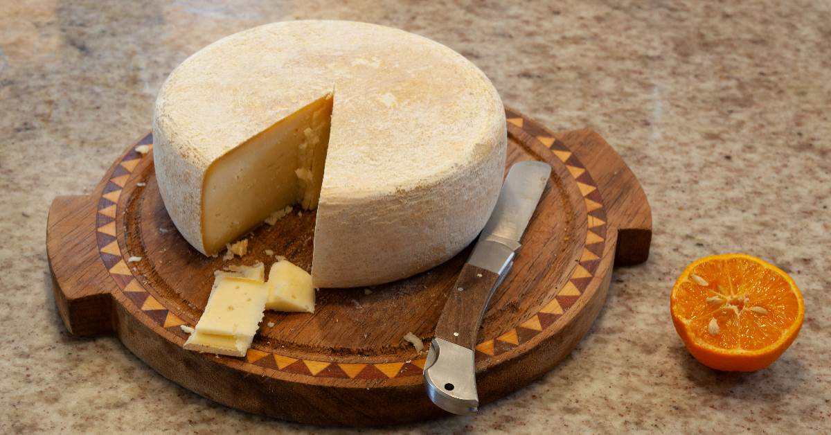 FotoJet - 2025-11-24T093136.127