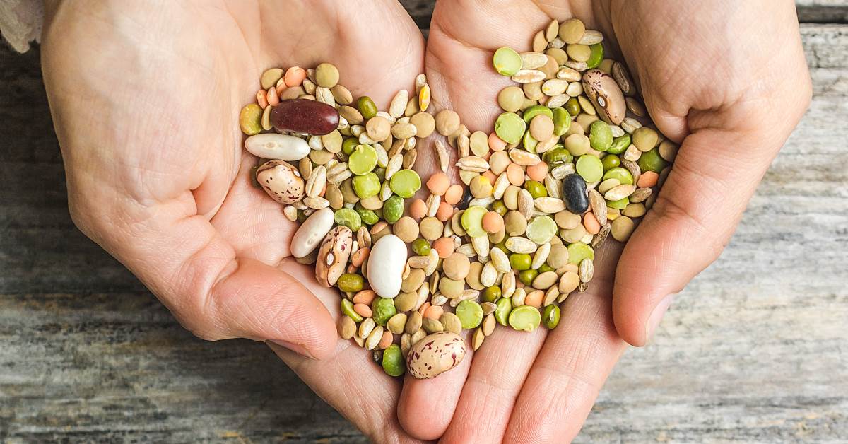 FotoJet - 2025-11-26T112203.246