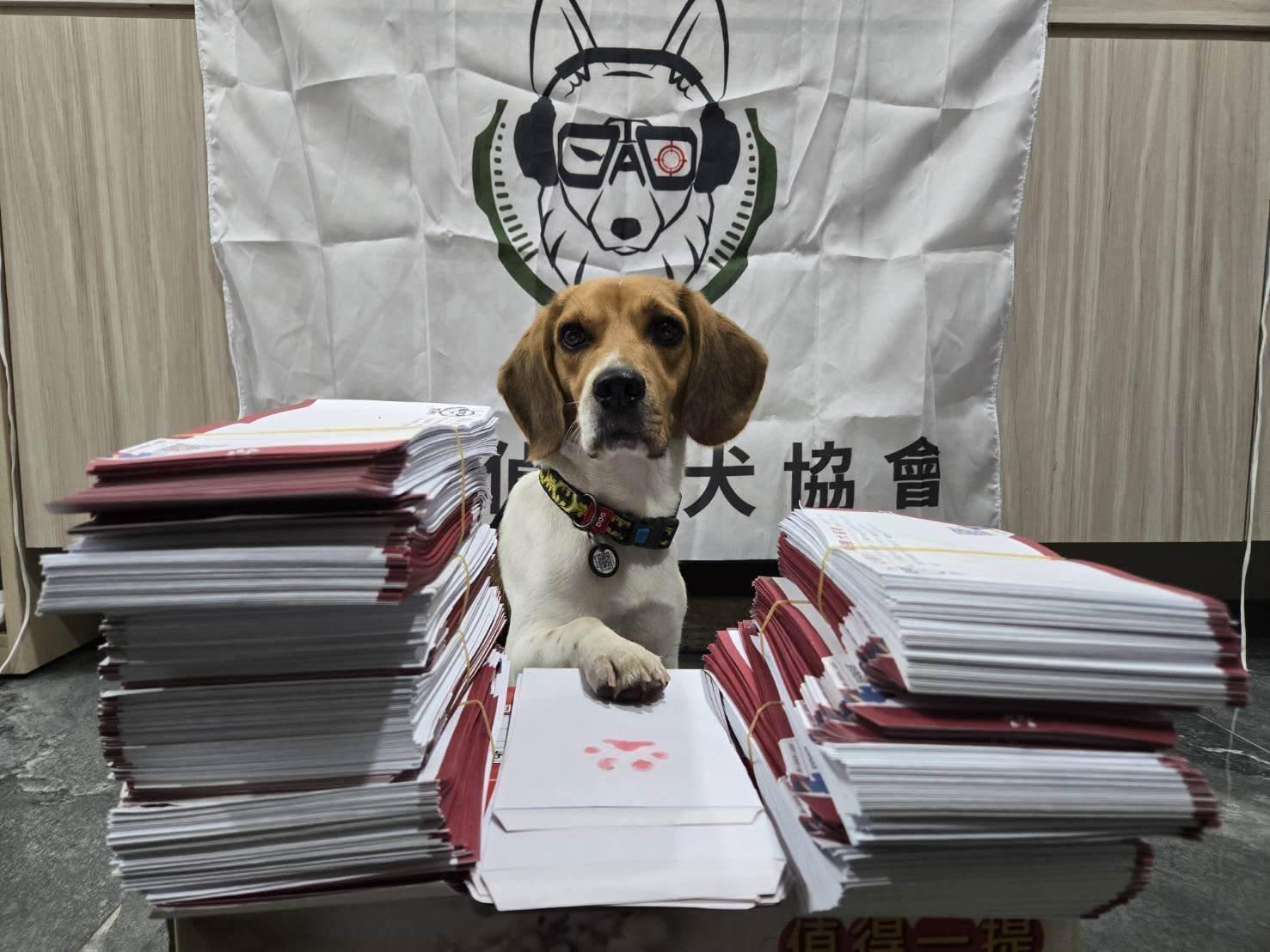 567695816_1266365305531193_7750480105967510961_n