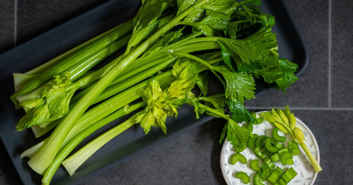 FotoJet - 2025-11-28T120228.810