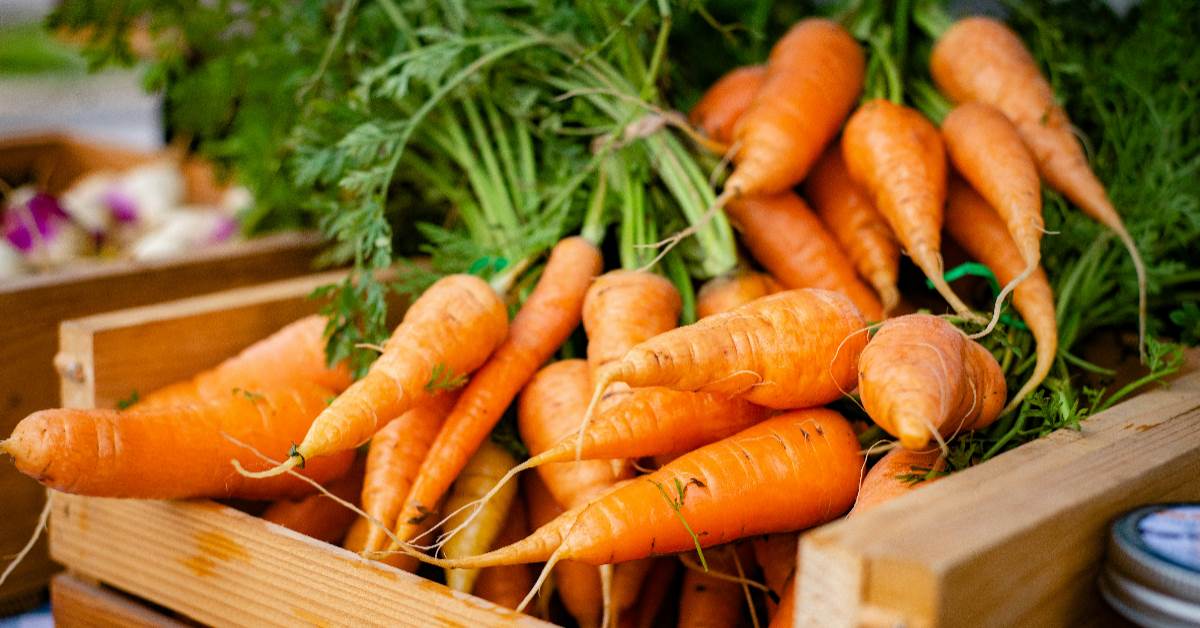 FotoJet - 2025-11-28T120754.467