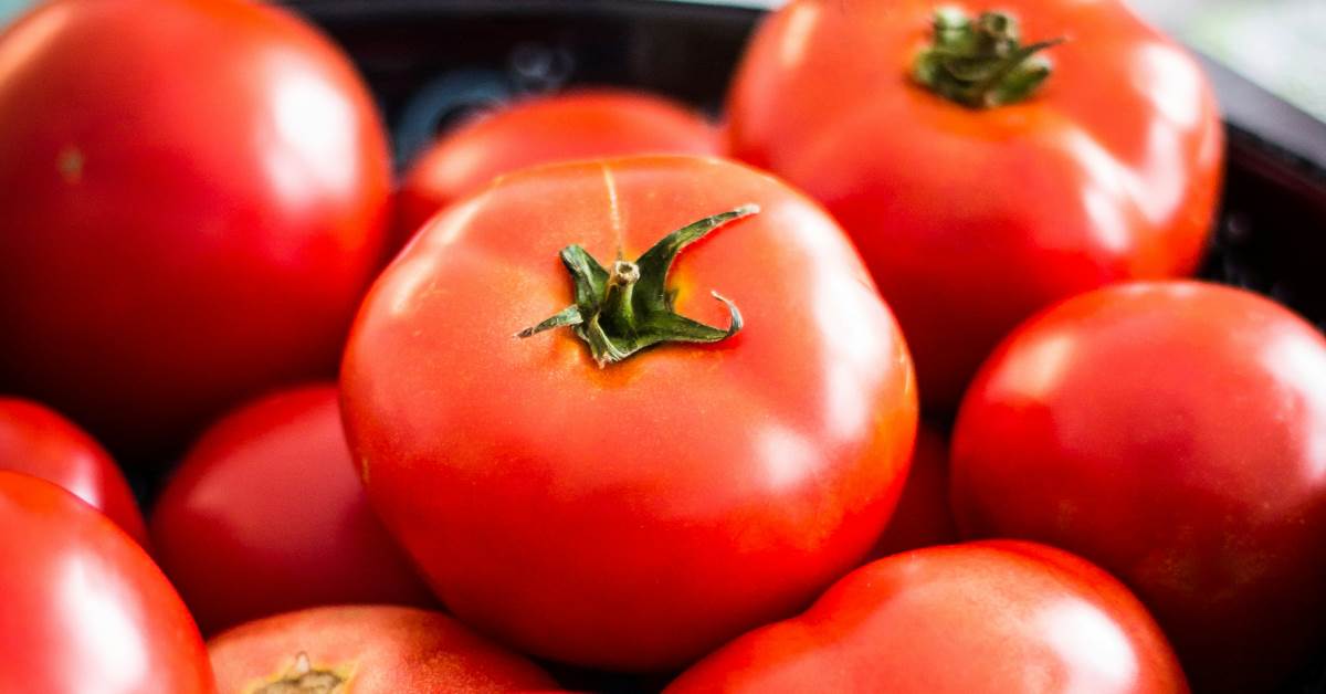 FotoJet - 2025-11-28T121006.696