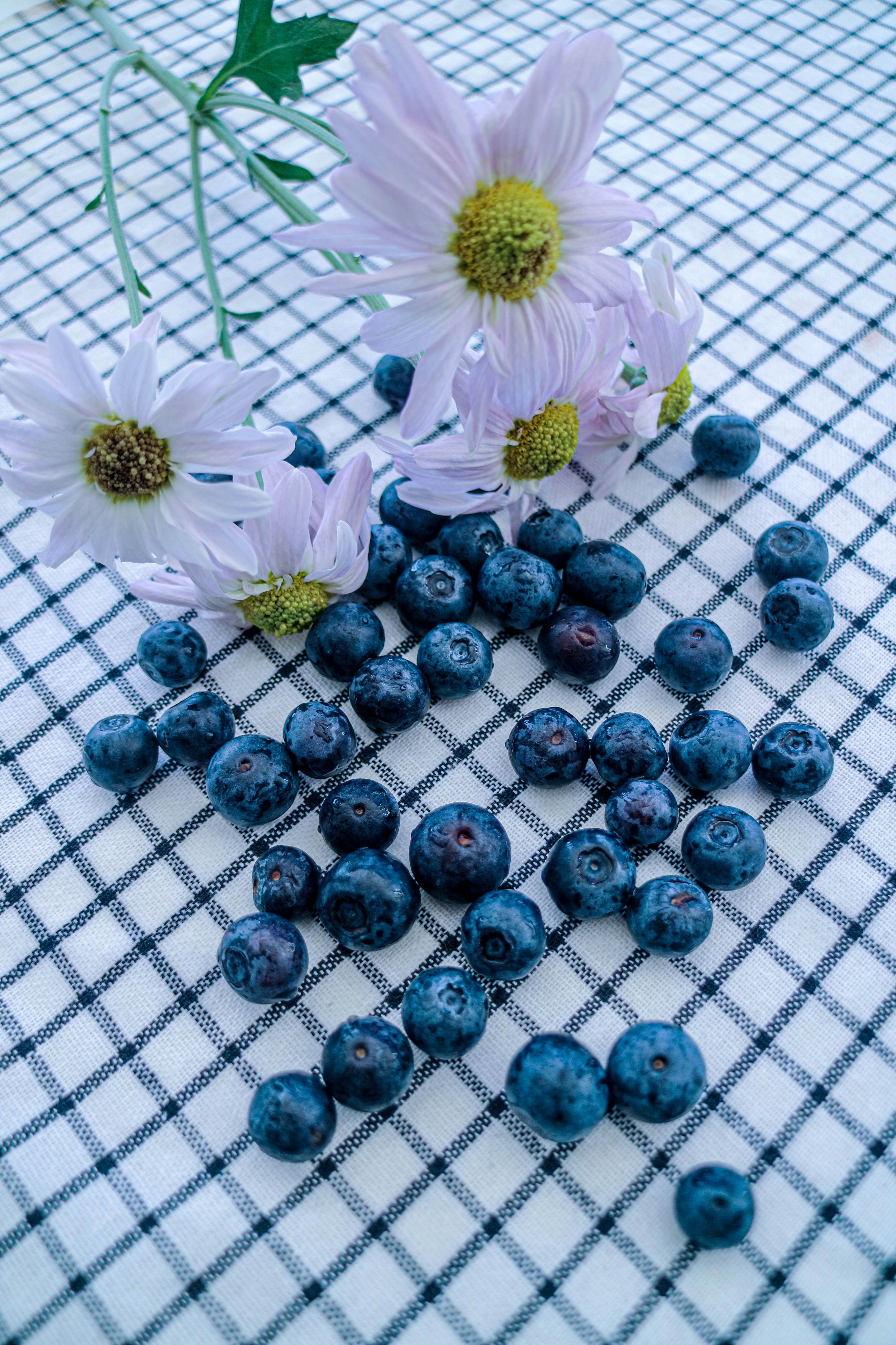 ankhtsetseg-tamir-EkFNYuK6fJM-unsplash