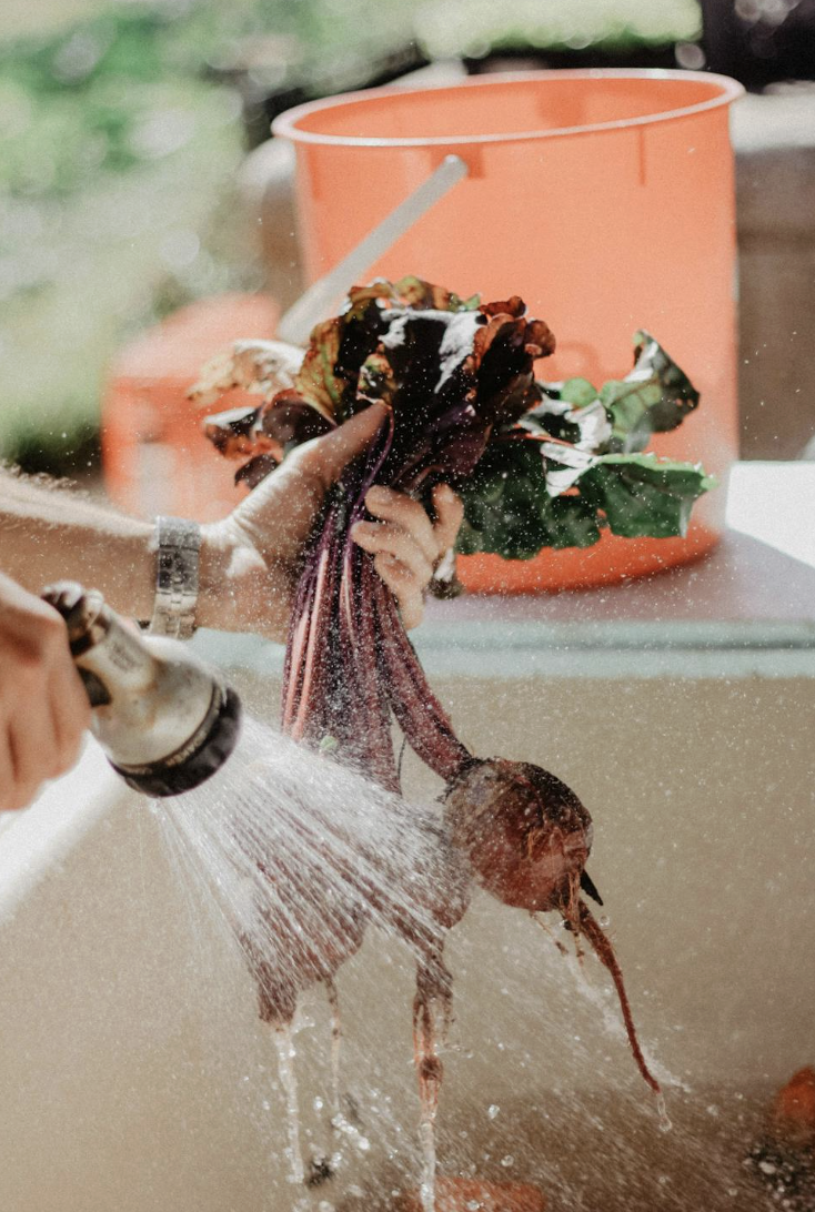 截圖 2025-12-10 上午11.07.46