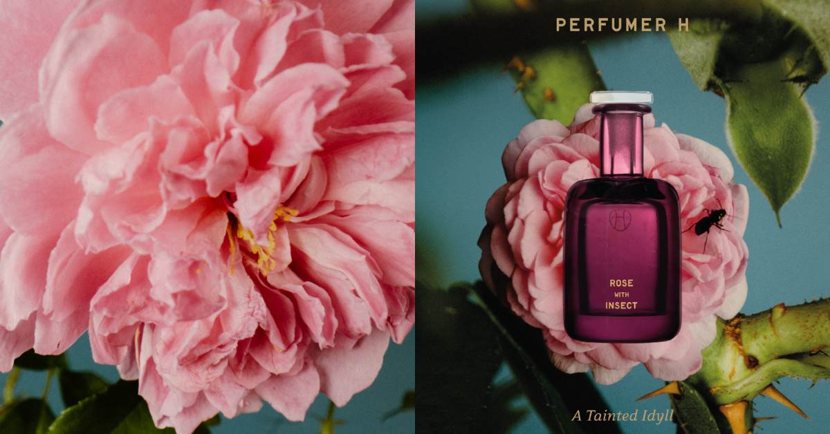 FotoJet - 2025-12-16T141826.874