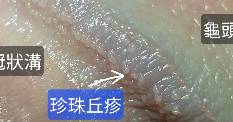 596721792_1269411811874534_1329093333894408577_n