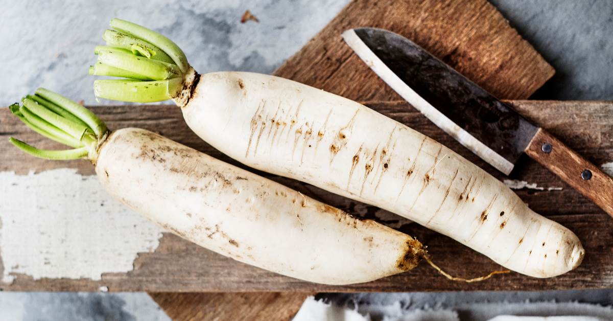 FotoJet - 2025-12-18T094834.603