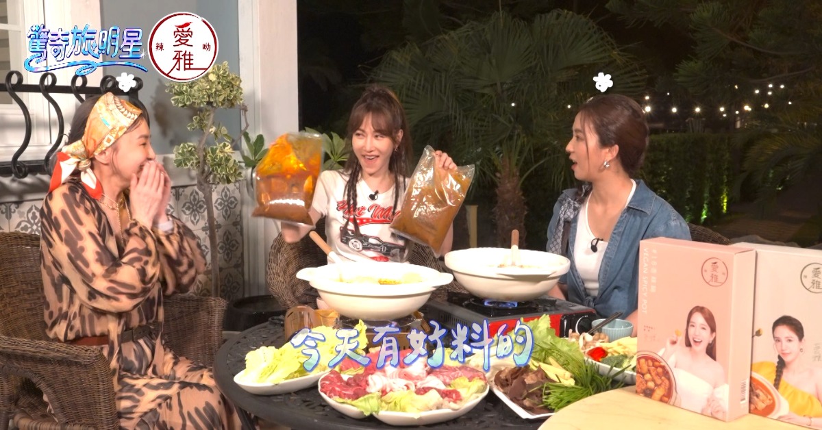 圖片來源：翻攝自《驚奇旅明星》