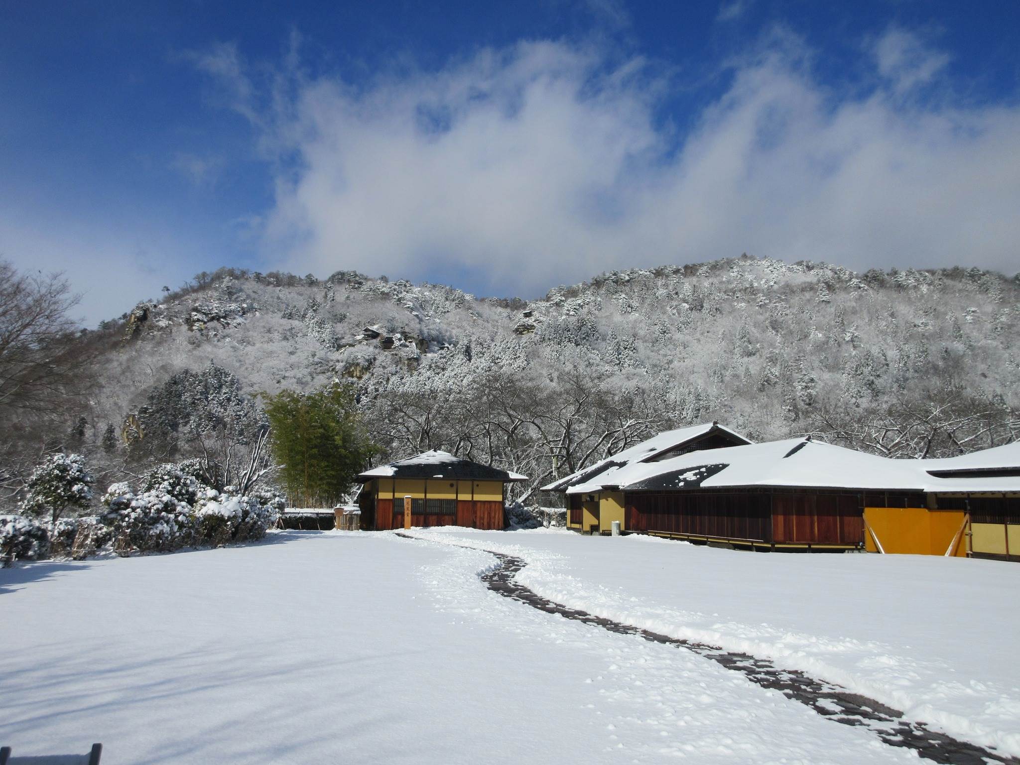 595132118_1359962089254343_7365726767825276166_n