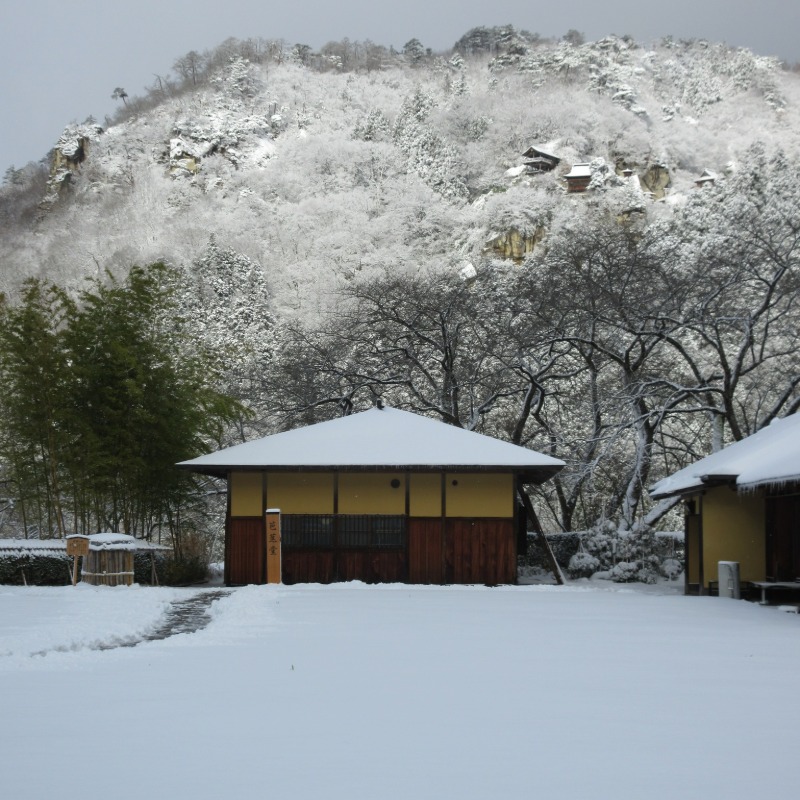 身分證拿出來！戶籍在這縣市「日本12處景點免費」，28種詳細優惠一次看