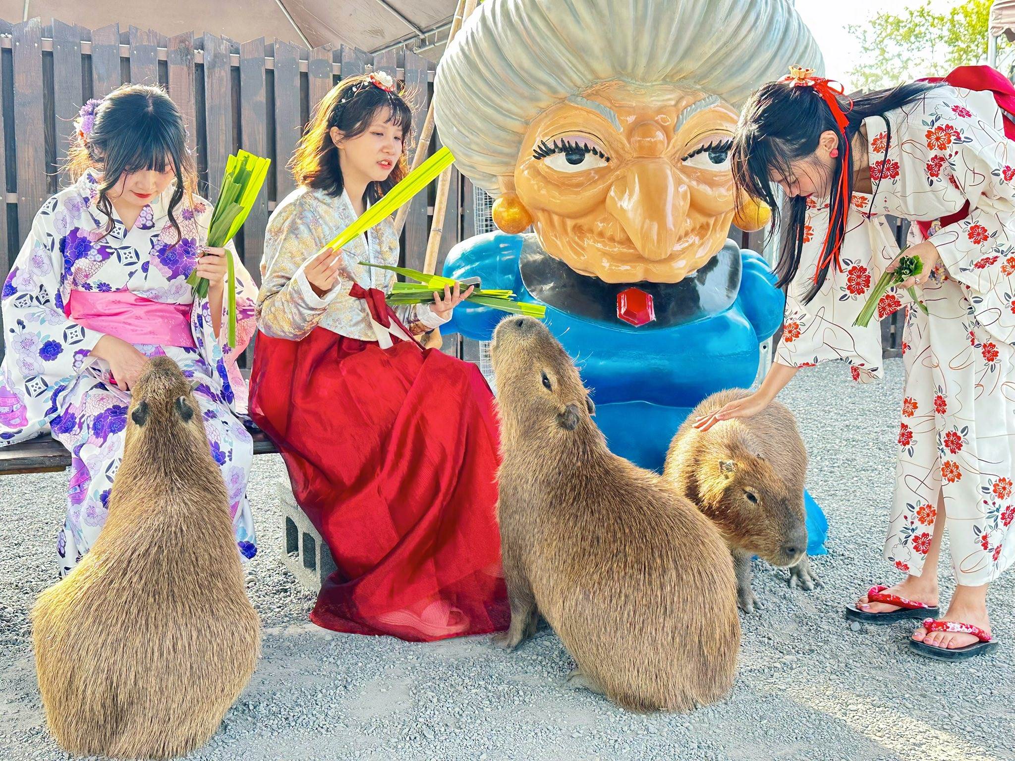 556051728_788840247369203_1701916735519592003_n